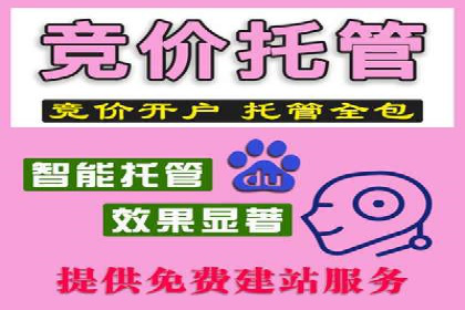 百度SEM优化案例：揭秘高转化率背后的秘密